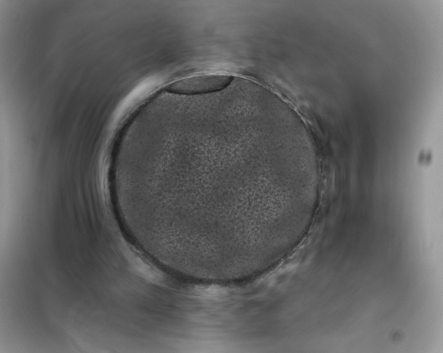 X0000101980197200808011107