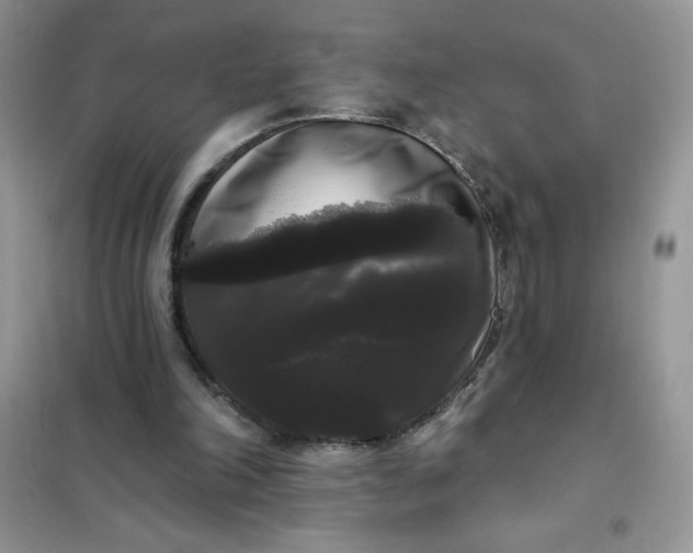 X0000101980198200808011107