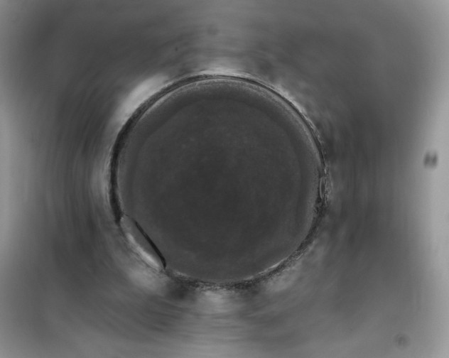 X0000101980199200808011107