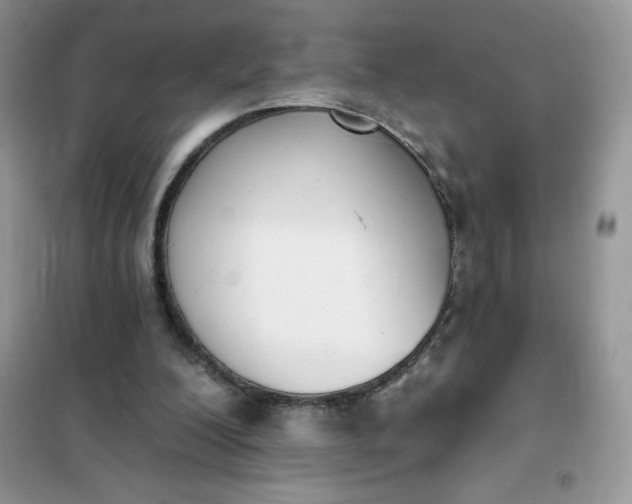 X0000101980200200808011107