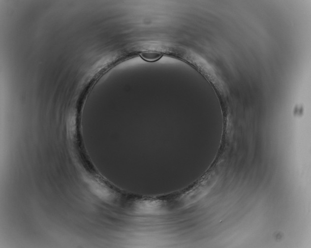 X0000101980202200808011107