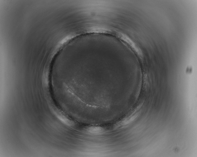 X0000101980203200808011107