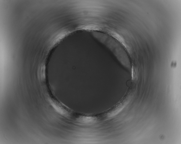 X0000101980205200808011107