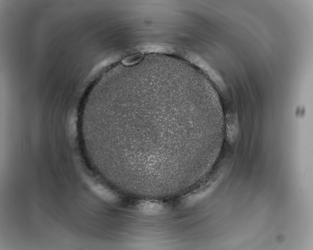 X0000101980207200808011107