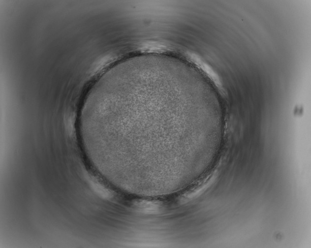 X0000101980209200808011107