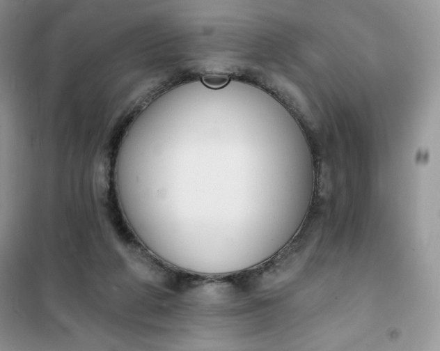 X0000101980210200808011107