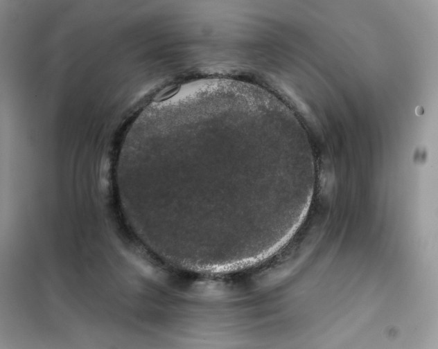 X0000101980211200808011107