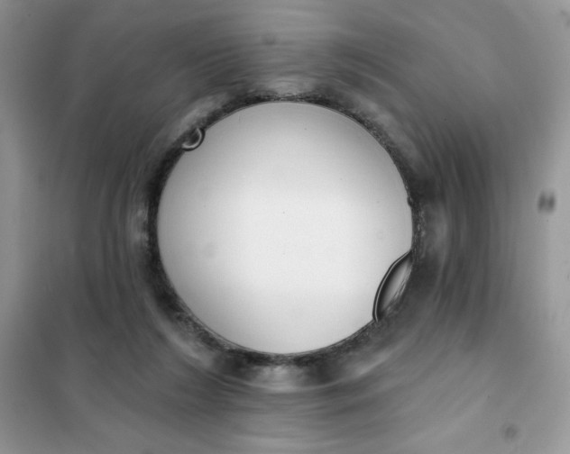 X0000101980212200808011107