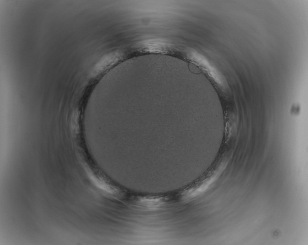 X0000101980213200808011107