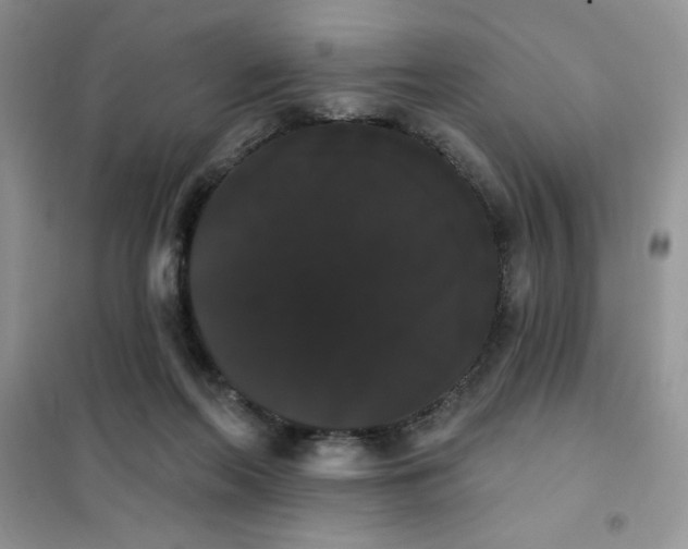 X0000101980214200808011107