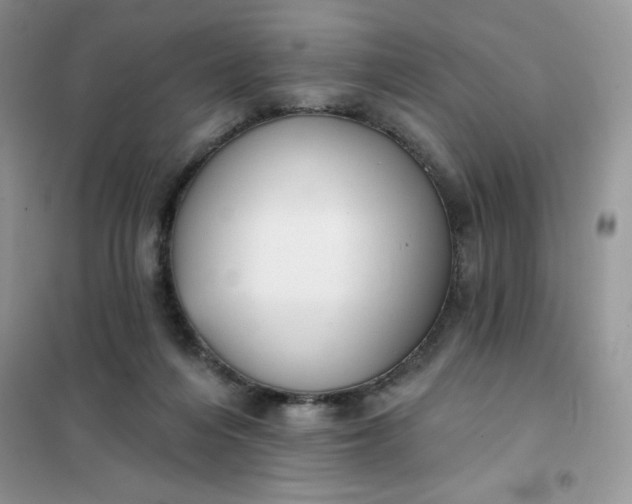 X0000101980216200808011107