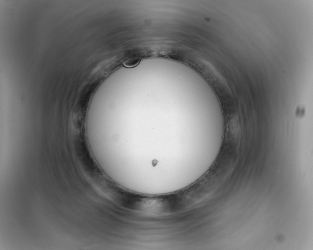 X0000101980218200808011107