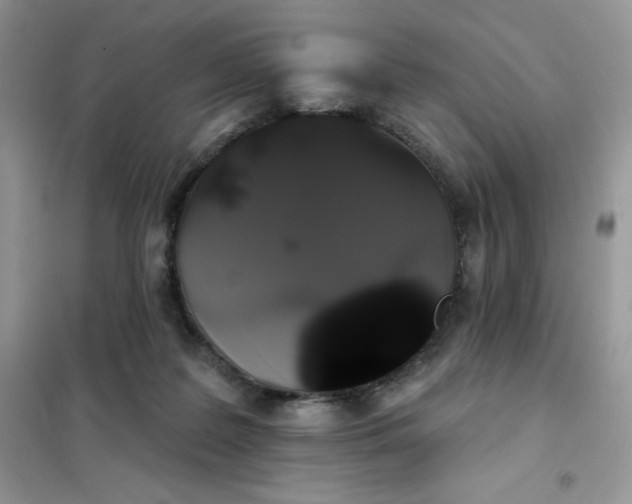 X0000101980219200808011107