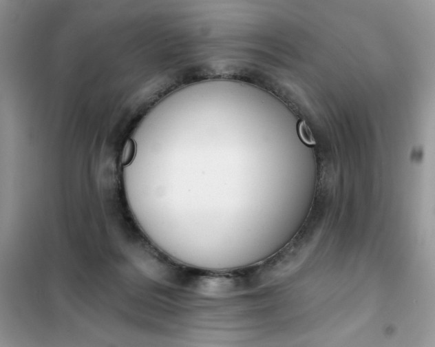 X0000101980220200808011107