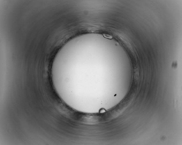 X0000101980221200808011107