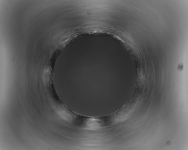 X0000101980222200808011107