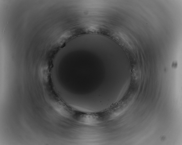 X0000101980223200808011107