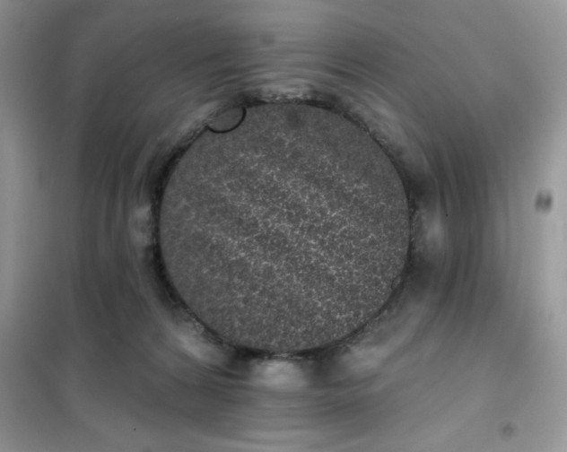 X0000101980224200808011107