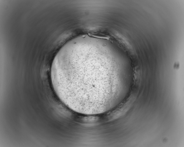 X0000101980225200808011107