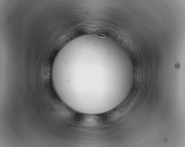 X0000101980226200808011107