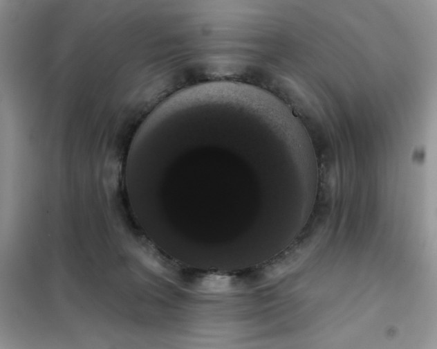 X0000101980227200808011107