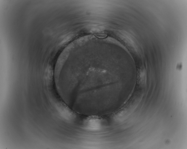 X0000101980228200808011107