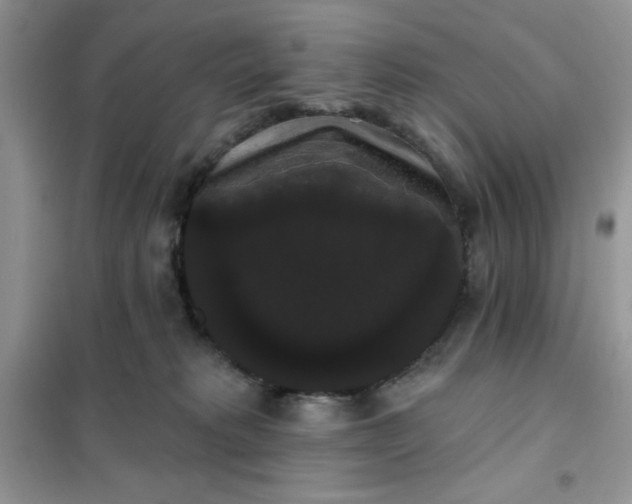 X0000101980229200808011107