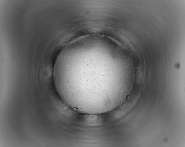 X0000101980230200808011107