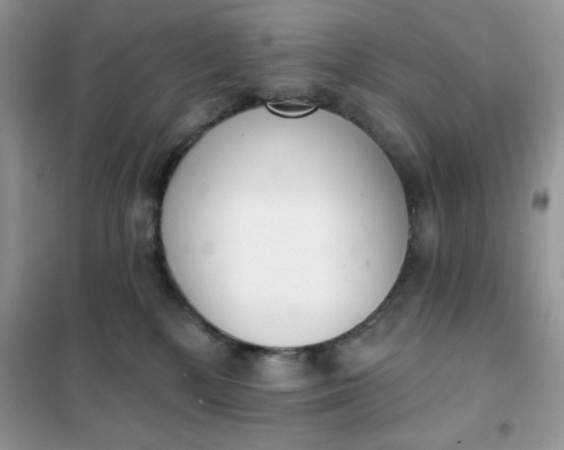 X0000101980232200808011107