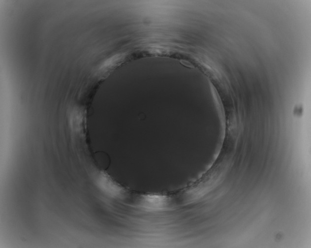 X0000101980233200808011107