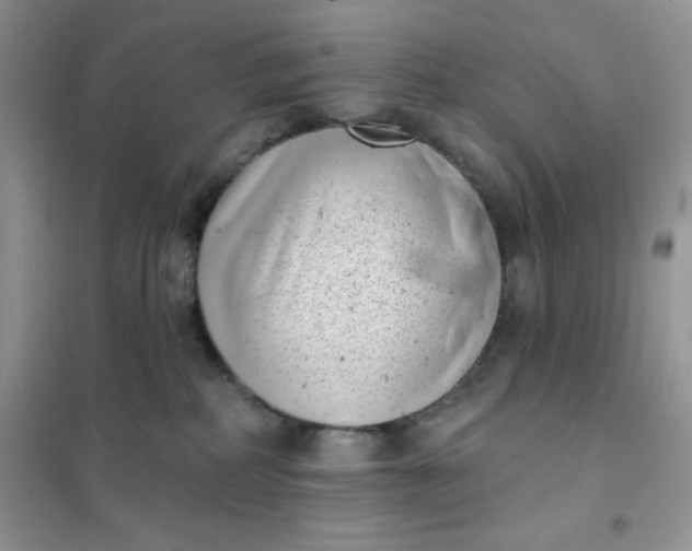 X0000101980234200808011107