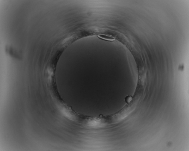 X0000101980235200808011107