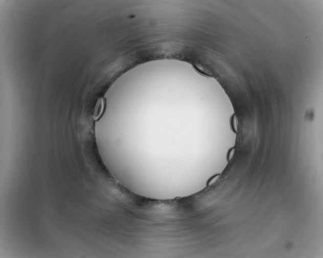 X0000101980236200808011107