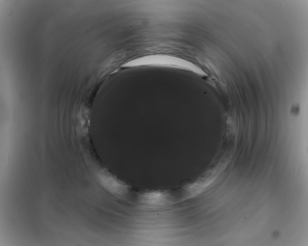 X0000101980237200808011107