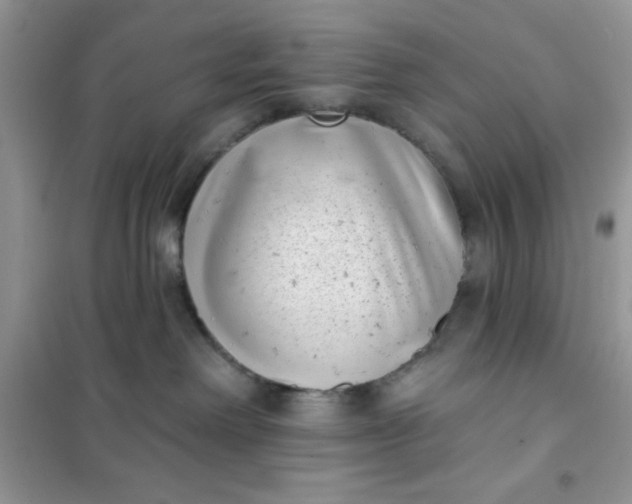 X0000101980238200808011107