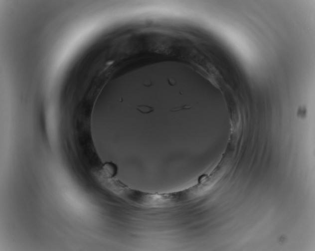 X0000101980239200808011107