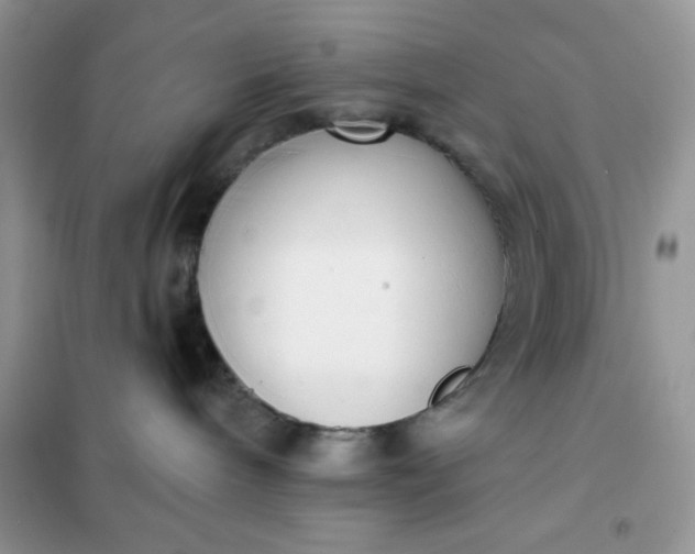 X0000101980240200808011107