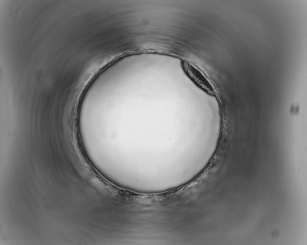 X0000101980241200808011106