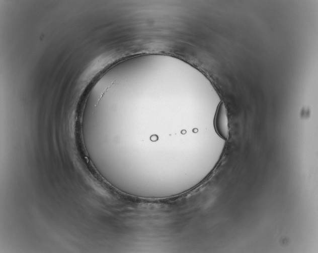 X0000101980242200808011106