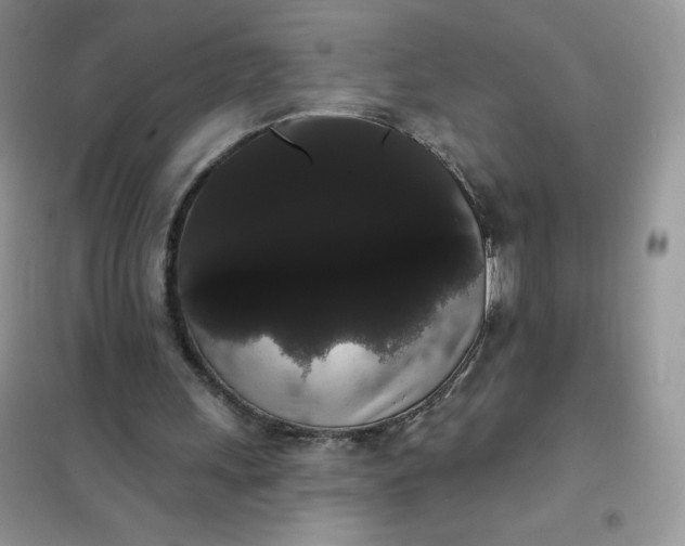 X0000101980243200808011106