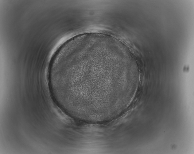 X0000101980244200808011106