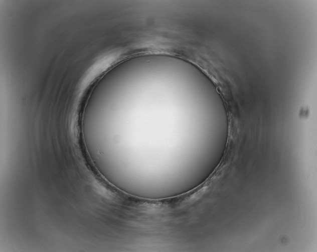 X0000101980245200808011106