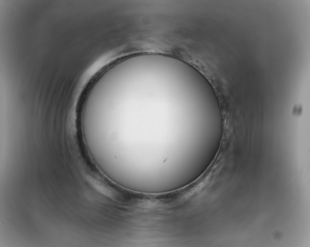 X0000101980246200808011106