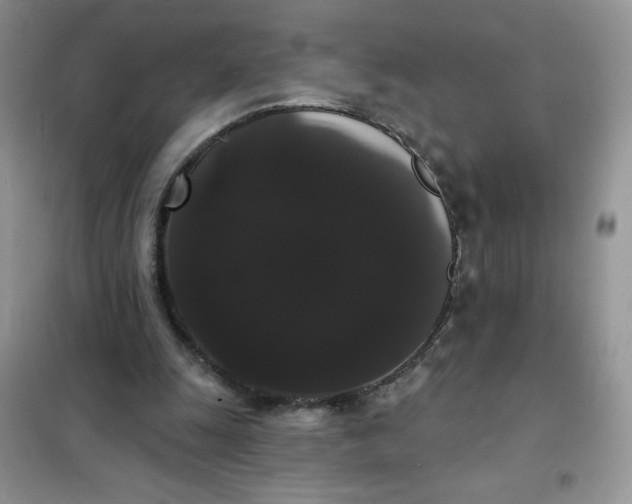 X0000101980247200808011106