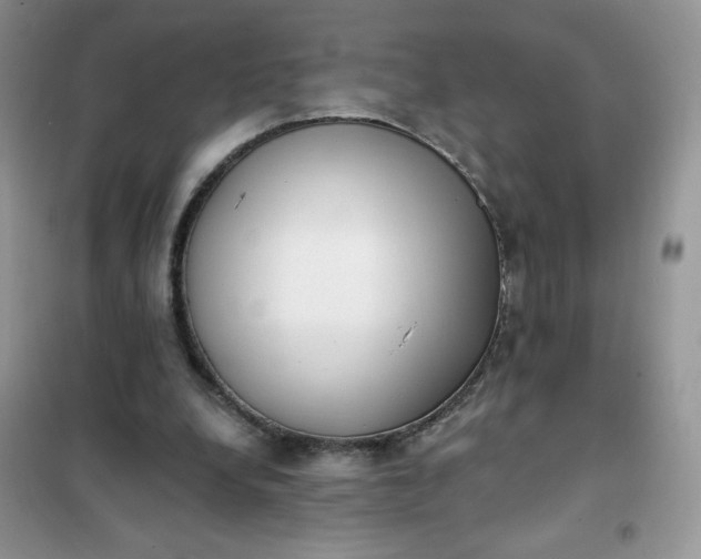 X0000101980248200808011106