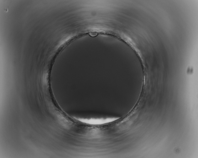 X0000101980249200808011106