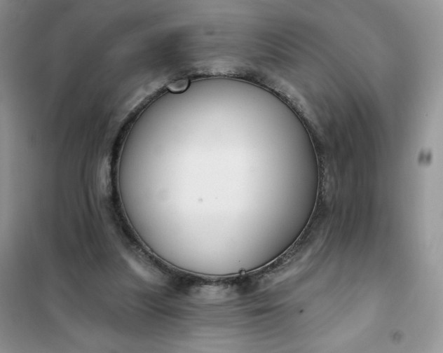 X0000101980251200808011106