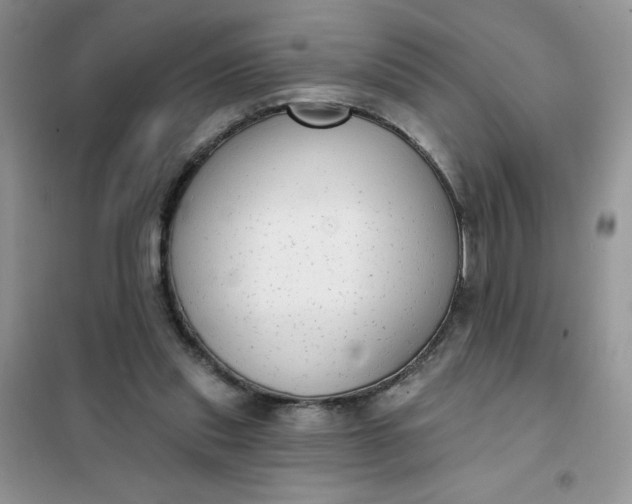 X0000101980253200808011106