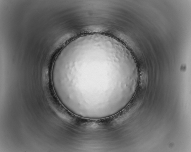 X0000101980254200808011106