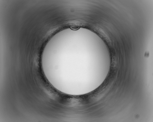 X0000101980255200808011106